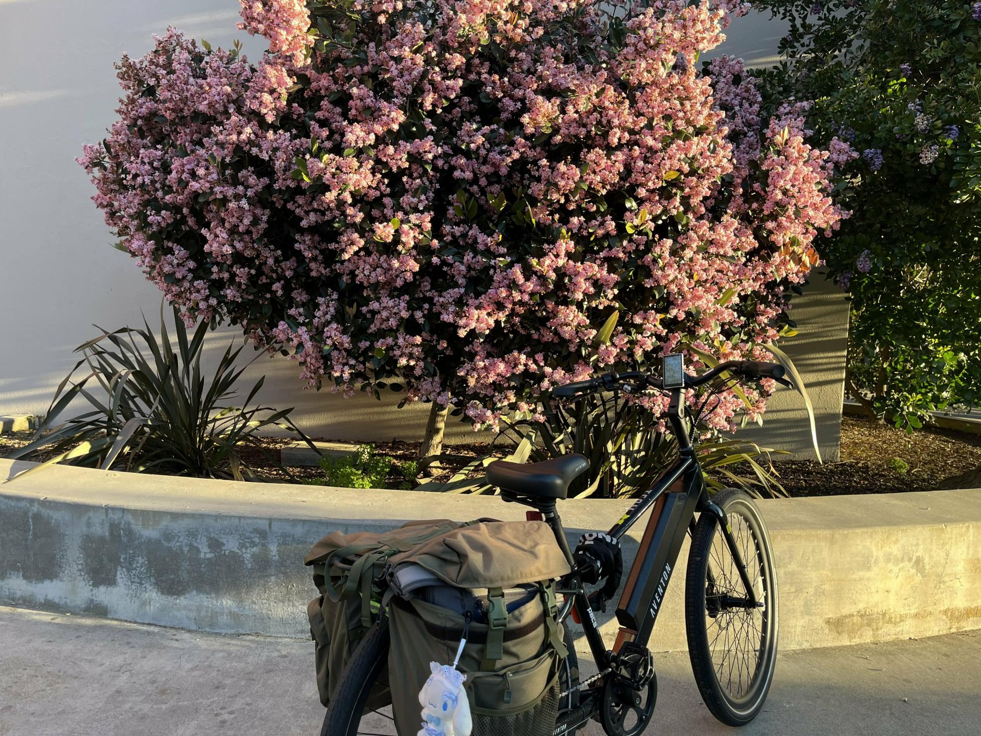 Aventón Step over (with crossbar) Black