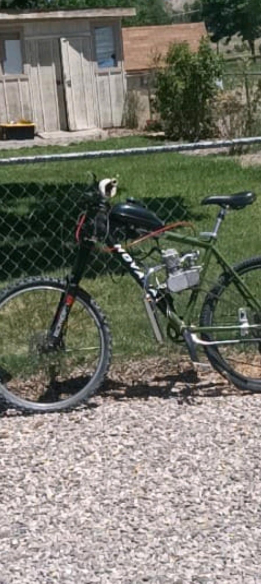 Novara Green, Black, and Silver, gray or bare metal