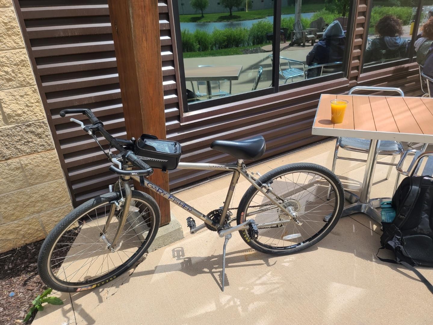 Gary Fisher Wahoo Silver, gray or bare metal