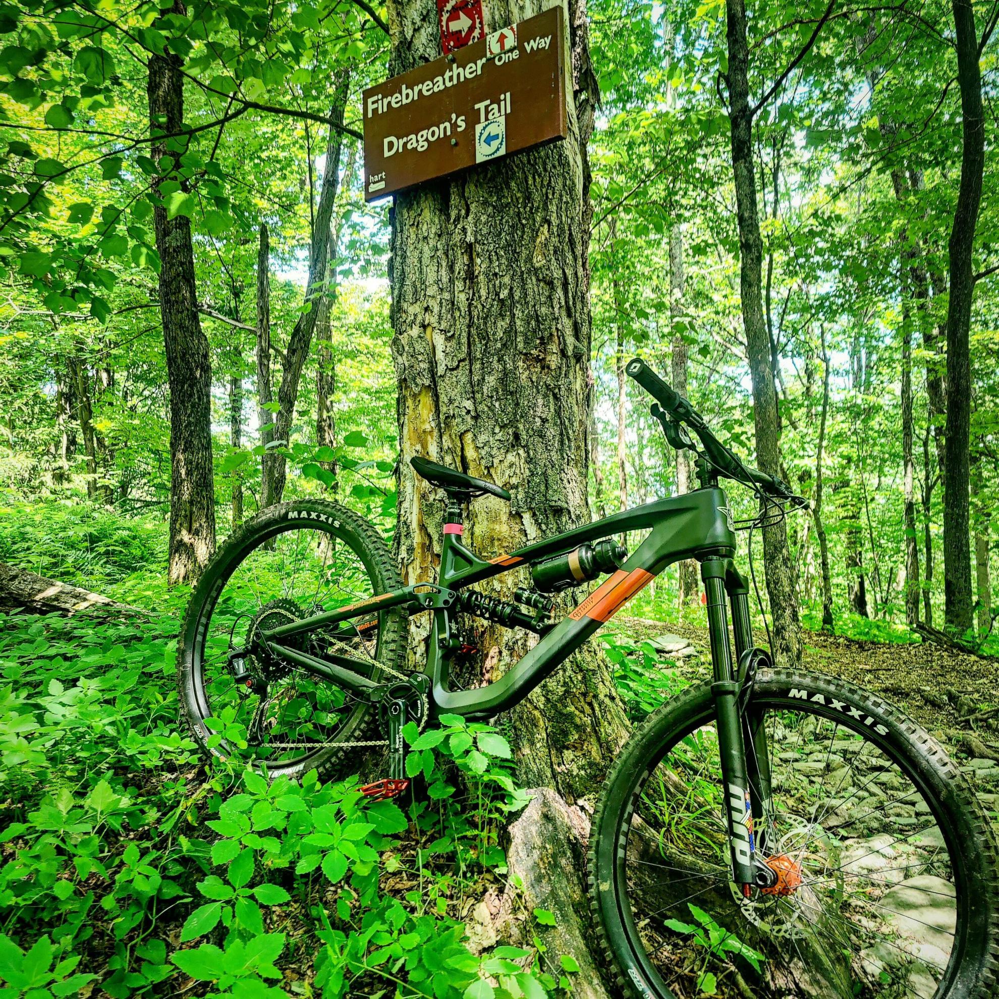 2021 Guerrilla Gravity Megatrail Black and Orange
