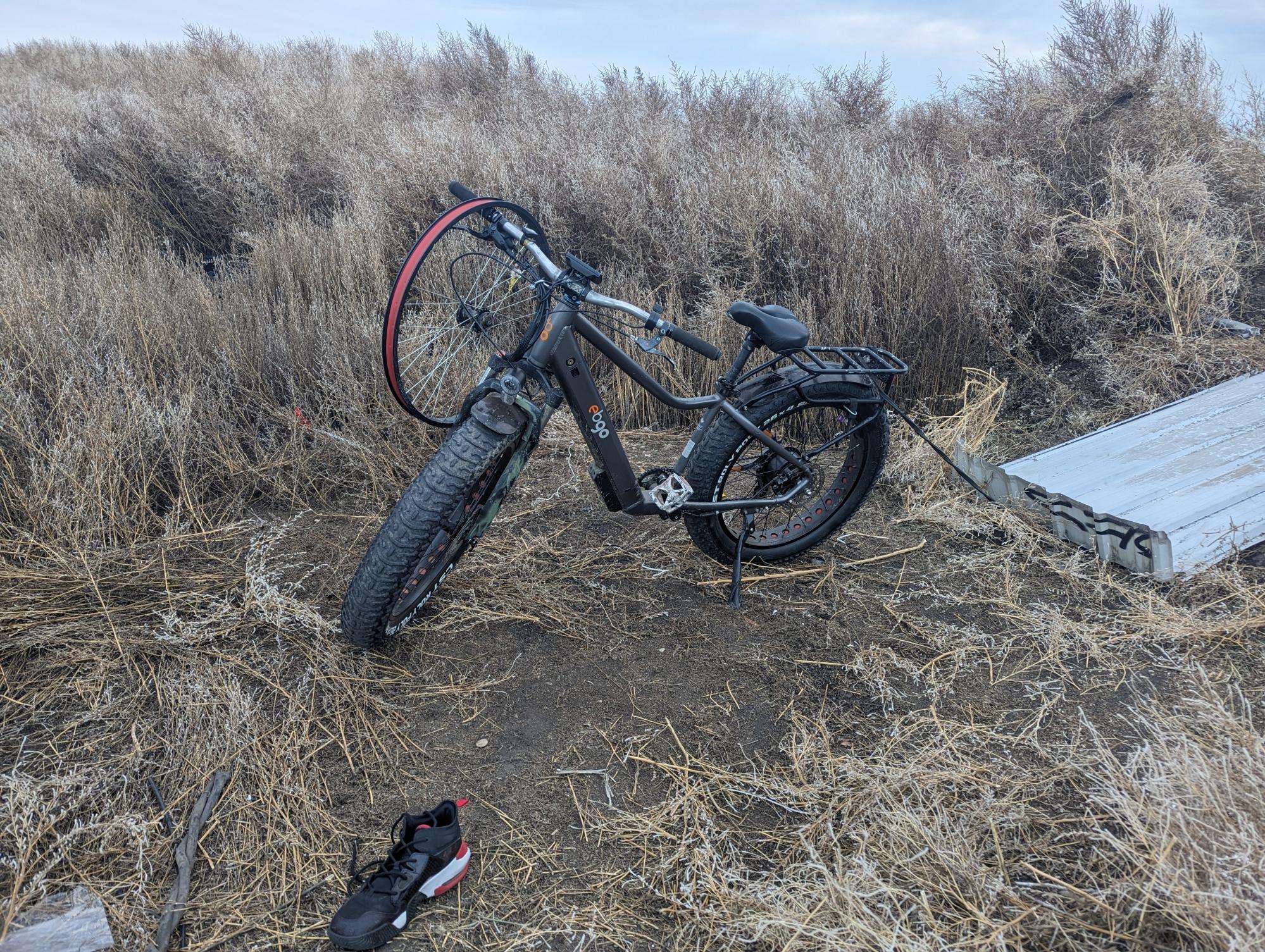 2022 Ebgo Ccef Silver, gray or bare metal