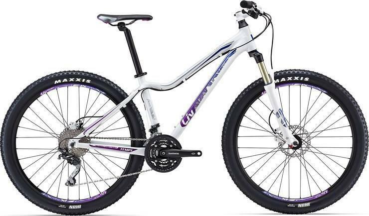 2016 Giant Giant Tempt 2 White