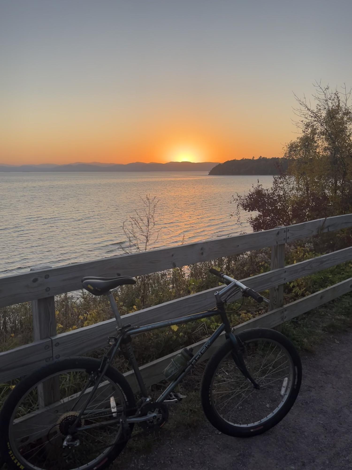 1994 Trek 850 Silver, gray or bare metal and Blue