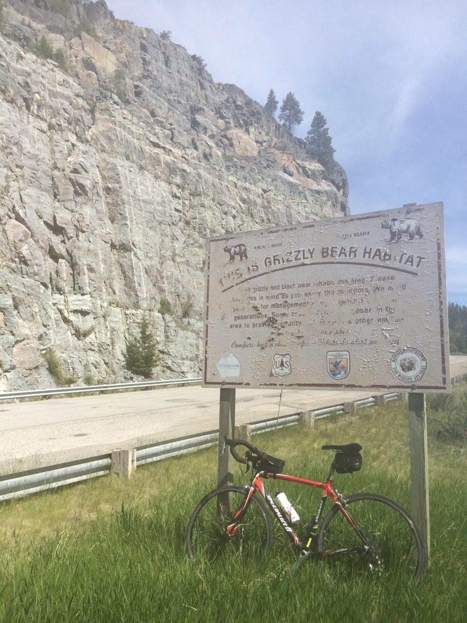 2008 Specialized Roubaix Compact Red