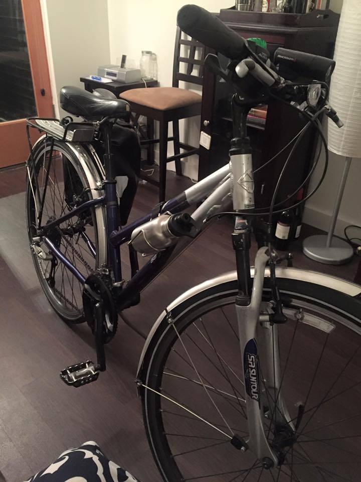 2008 Gary Fisher Nirvana Blue and Silver or Gray