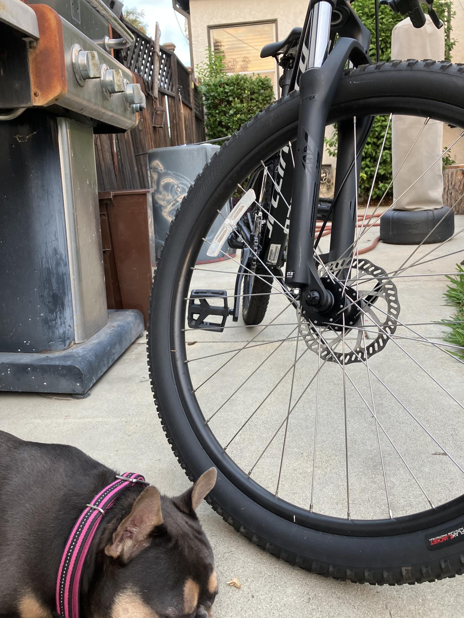 2023 Specialized rock jumper Black