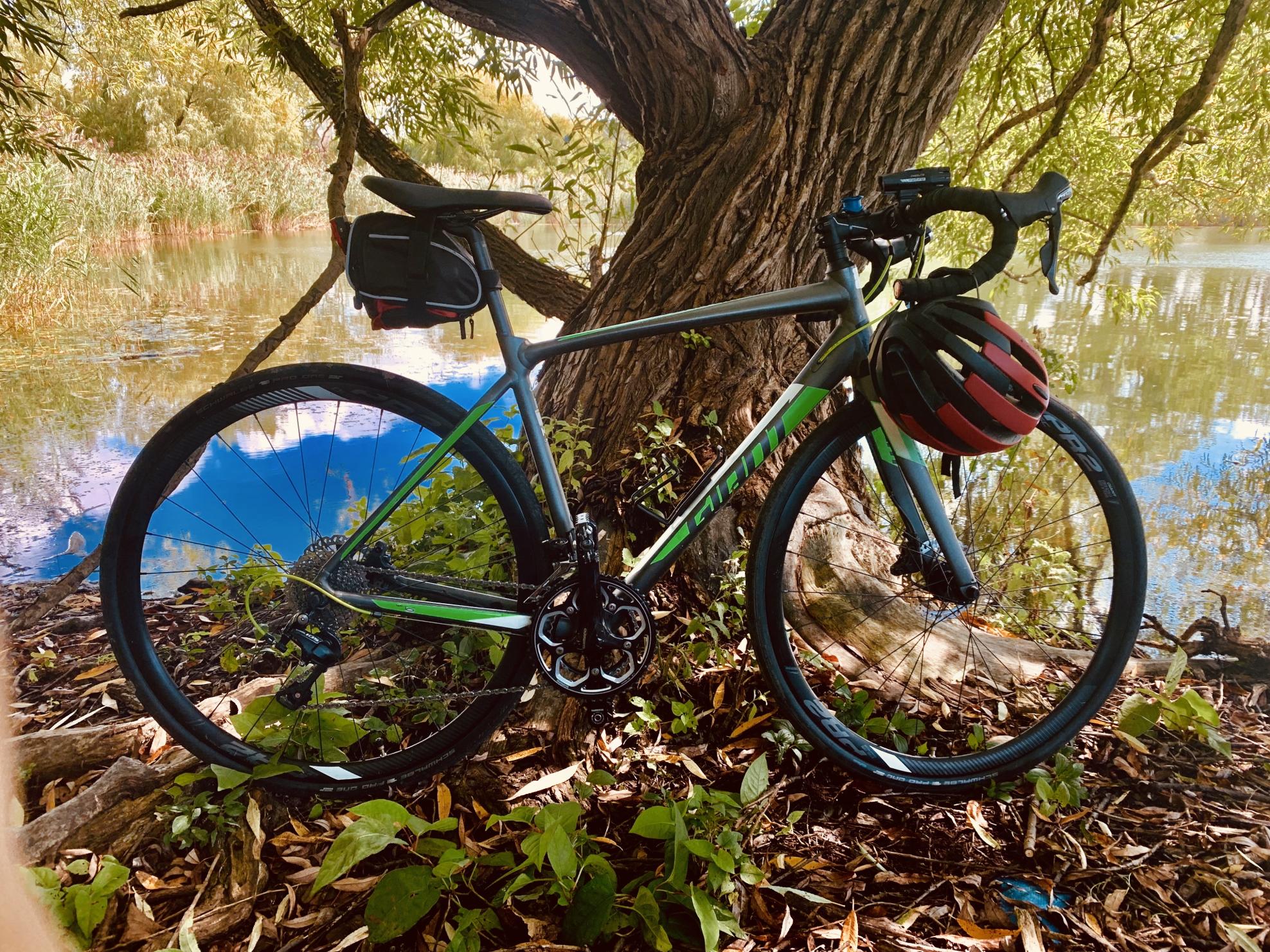 2017 Giant Contend SL disc Silver, gray or bare metal and Green