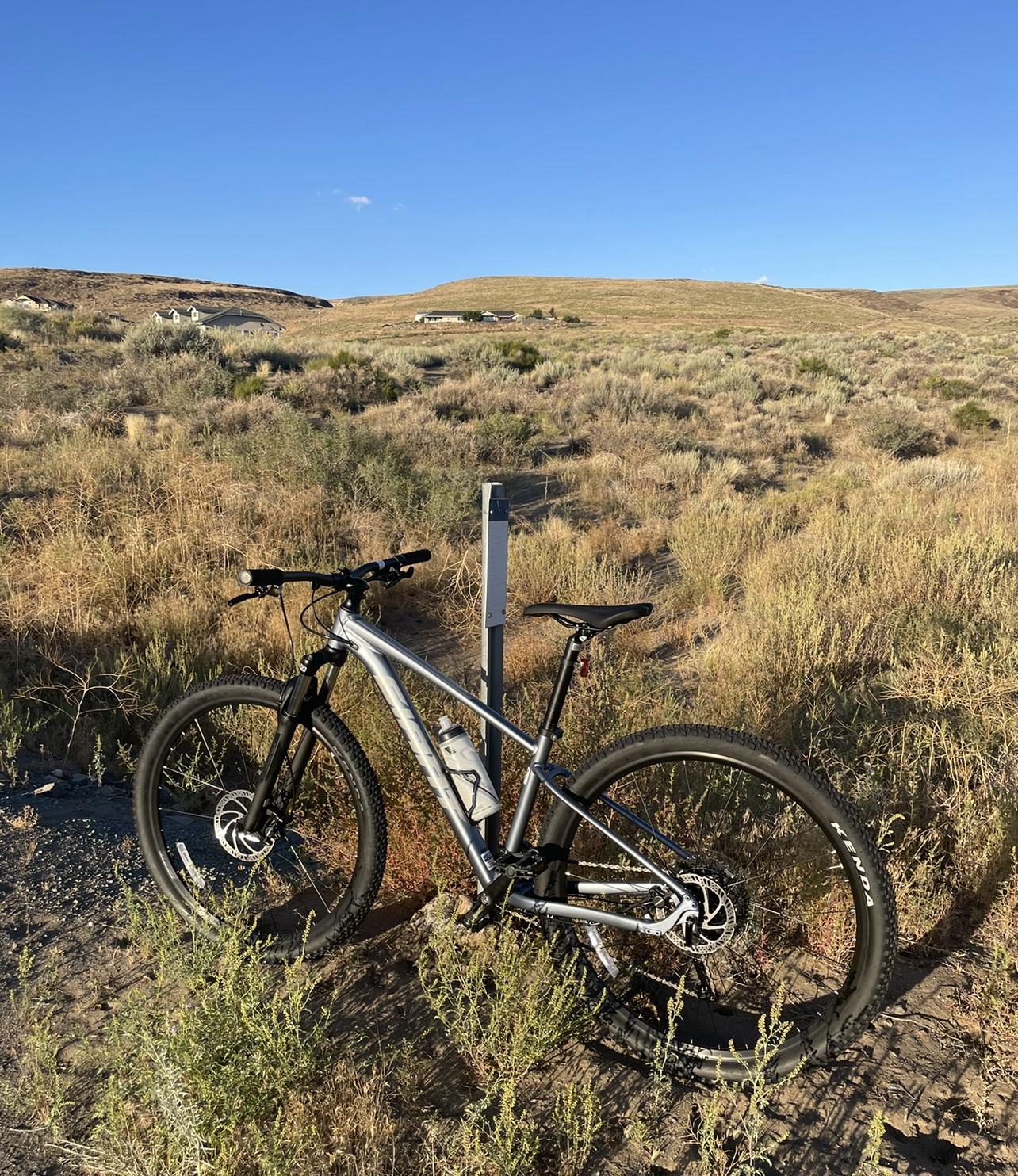 2023 Giant Talon Silver, gray or bare metal