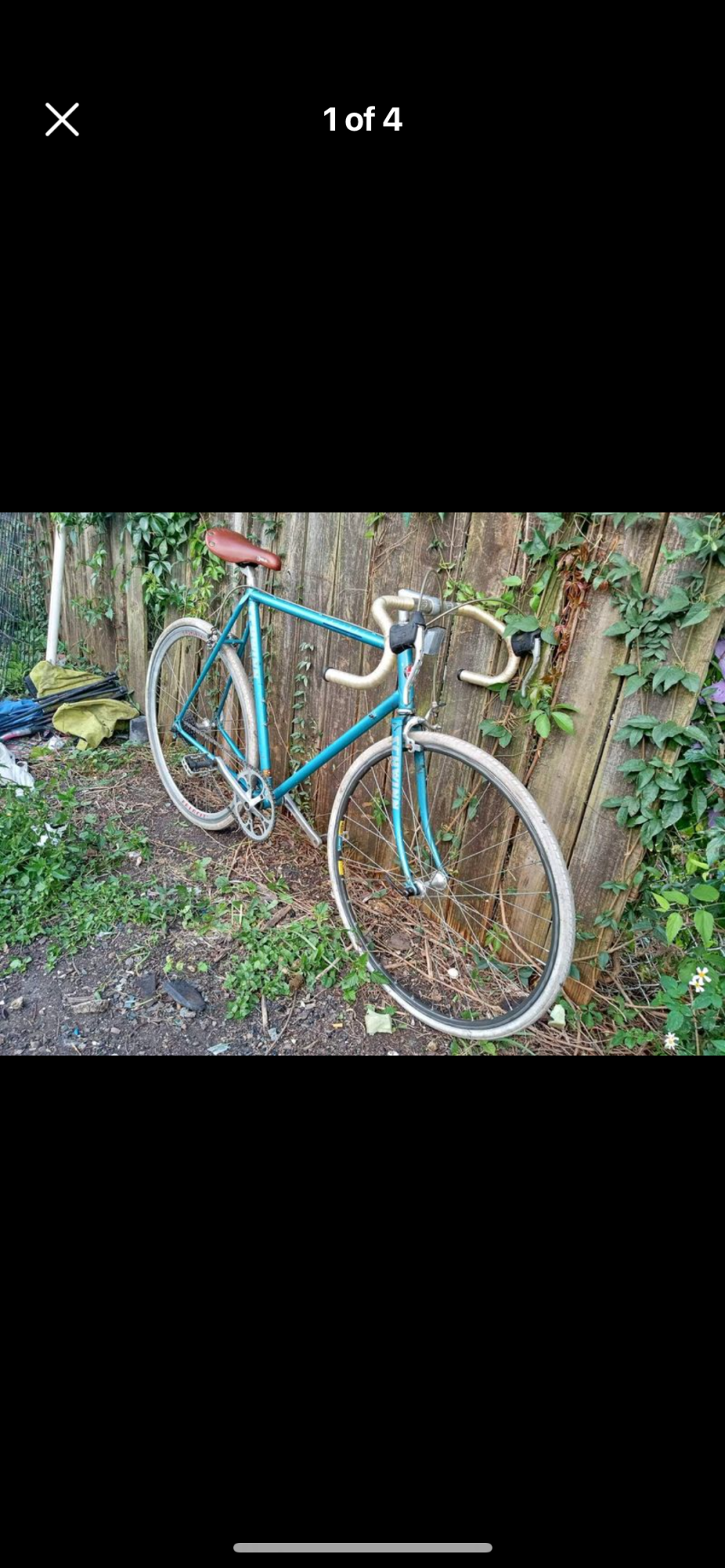 Schwinn Blue
