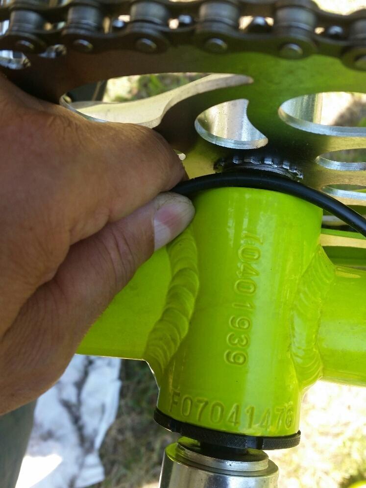 2008 Electra Pajama Party Green