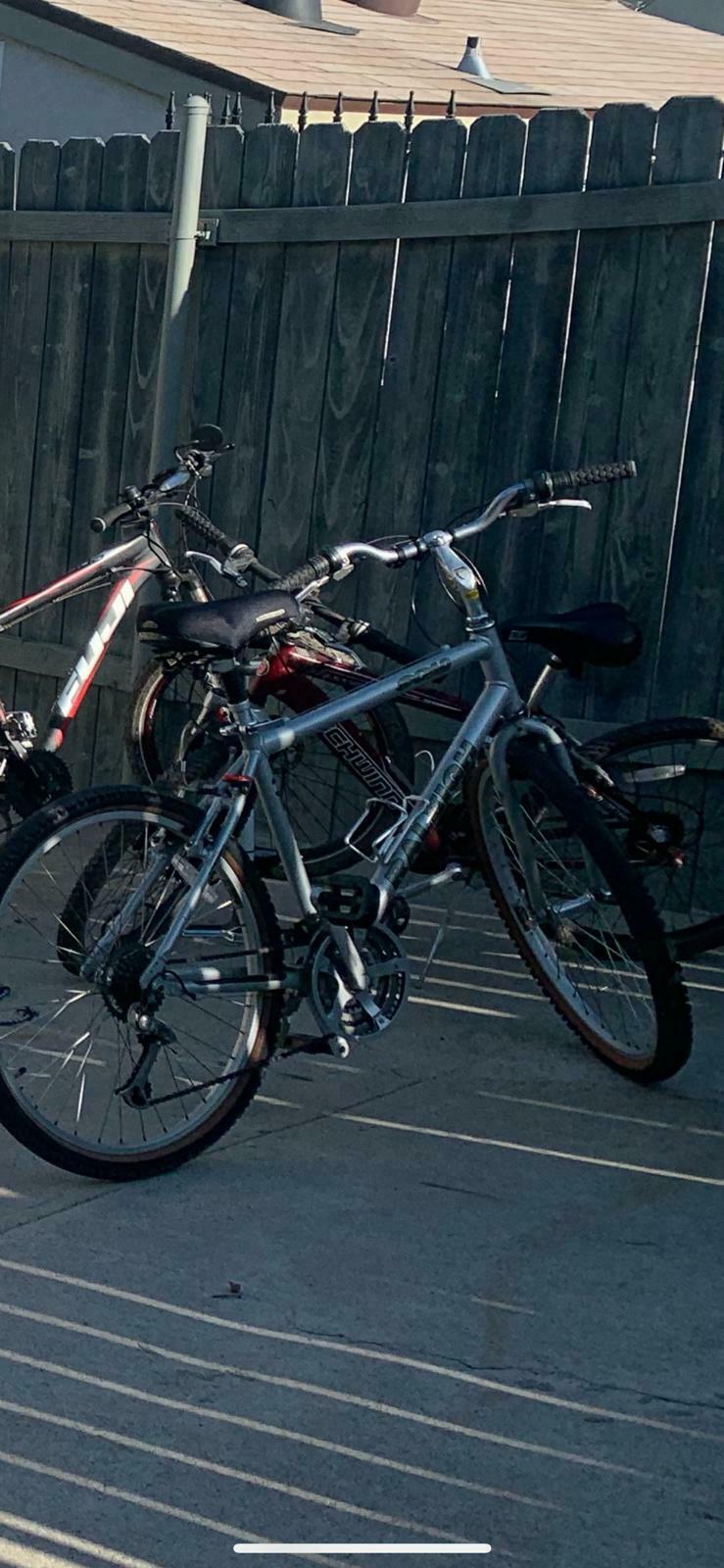 Raleigh SOLO Silver, gray or bare metal