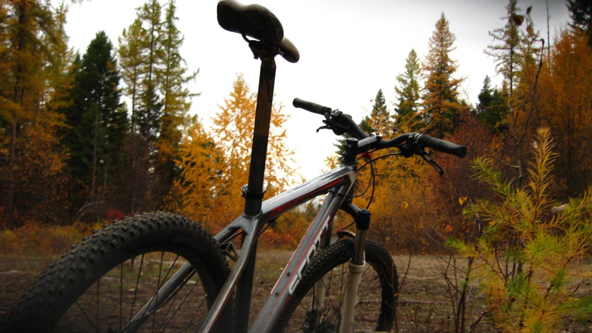 2008 SCOTT Scale 50 Silver or Gray and Red