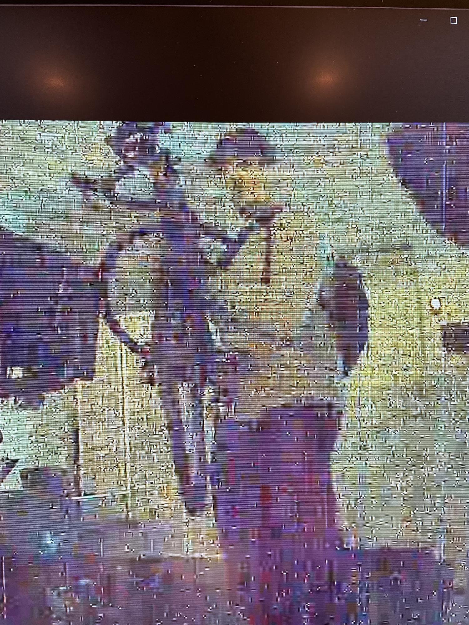 2020 Specialized Turbo Creo Black