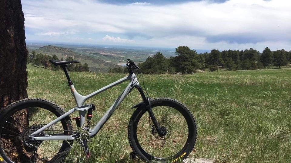 2019 Trek Remedy 9.8 XL Silver, gray or bare metal and Black