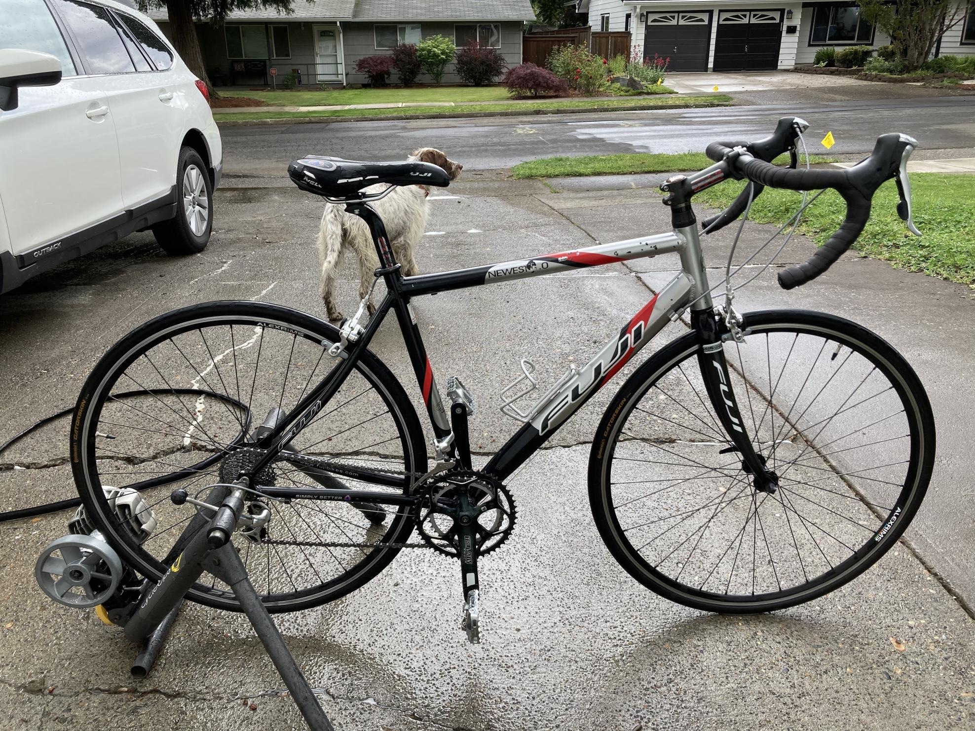 Fuji Absolute 1.0 Silver, gray or bare metal, Red, and Black