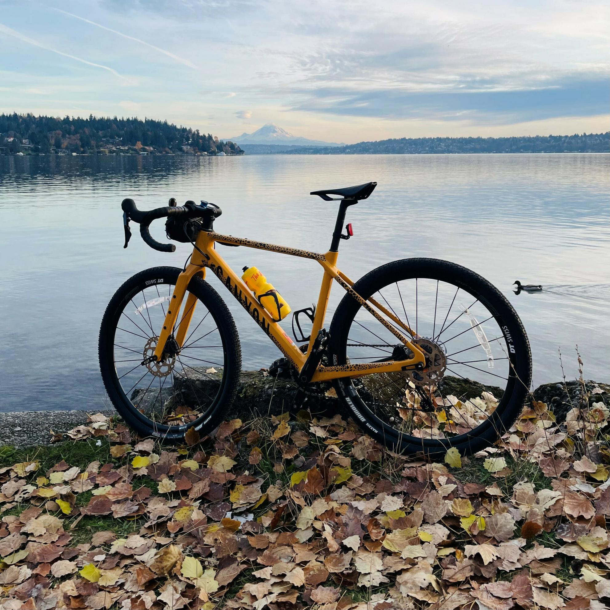 2022 Canyon bicycles Grizl CF SL6 XS Yellow or Gold
