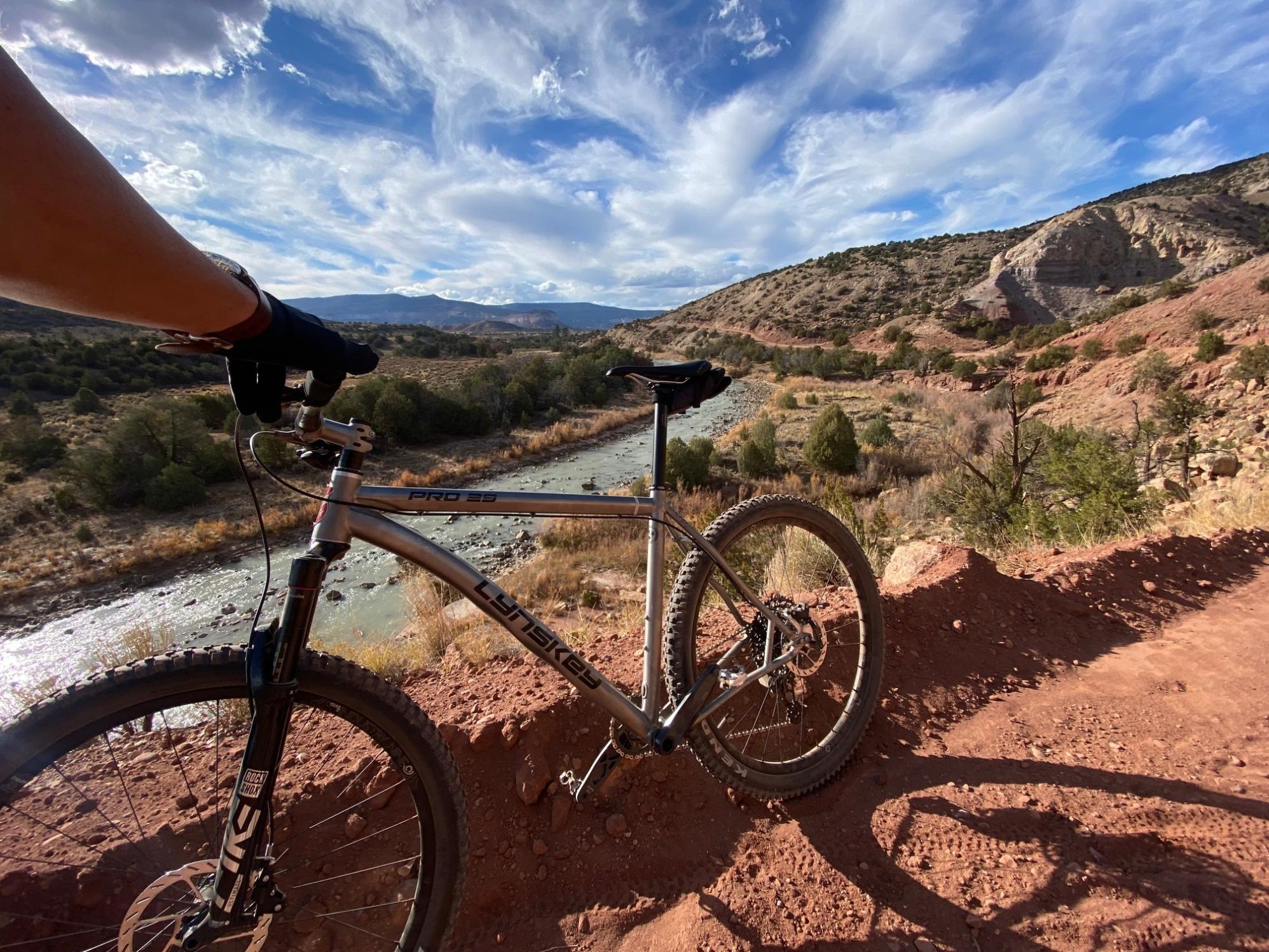2021 Lynskey PRO 29 Hardtail Mountain Bike Silver, gray or bare metal