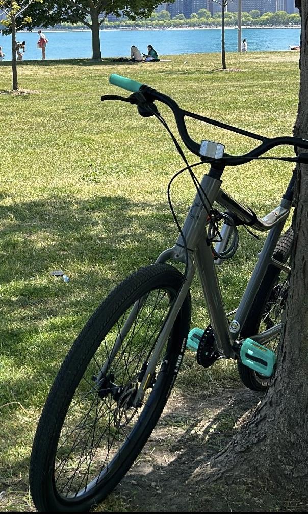 Cannondale SmartForm C3 Alloy Silver, gray or bare metal