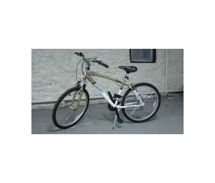 2009 Schwinn SkyLiner  Black