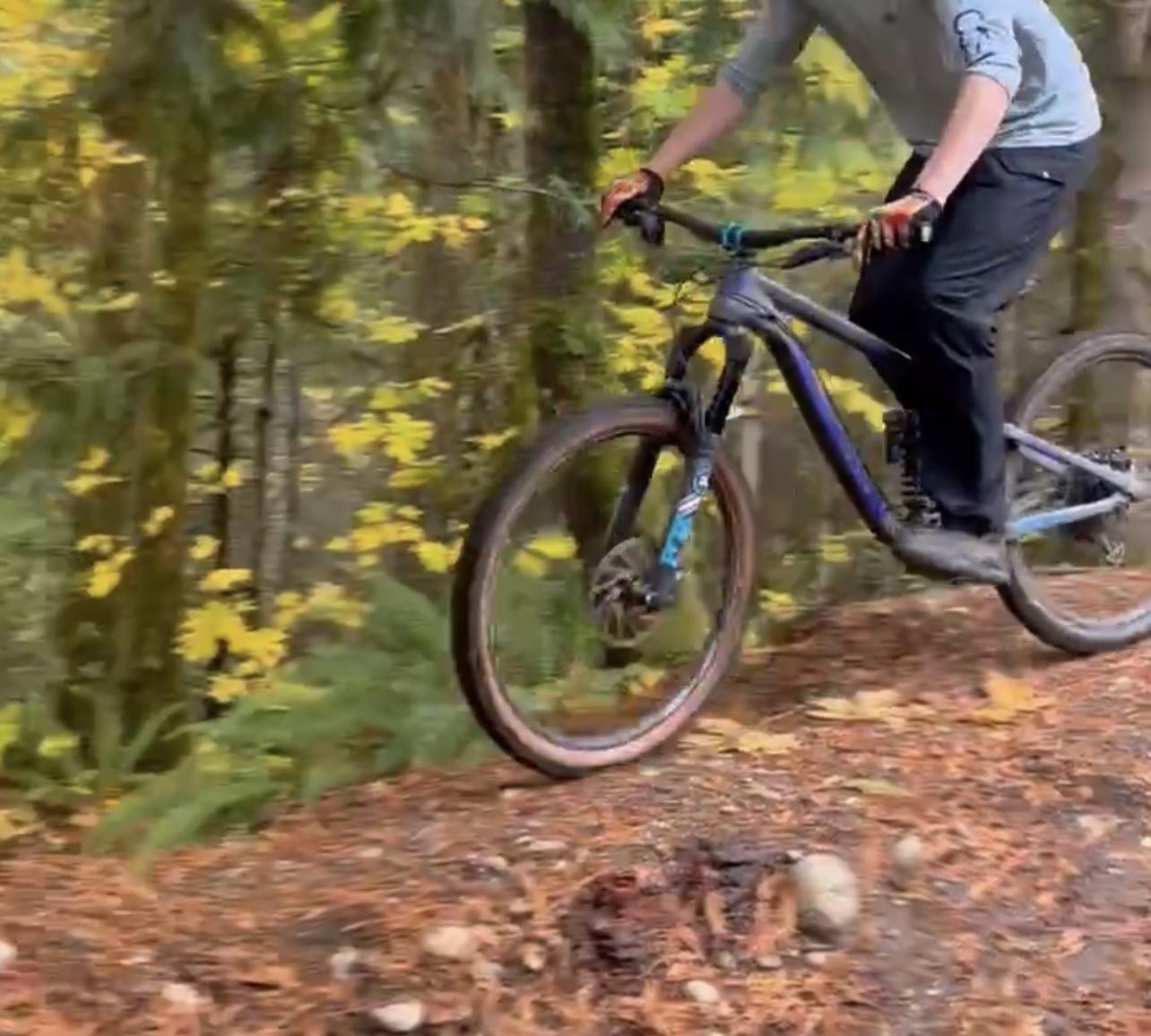 2019 Transition Bikes Patrol Silver, gray or bare metal and Blue