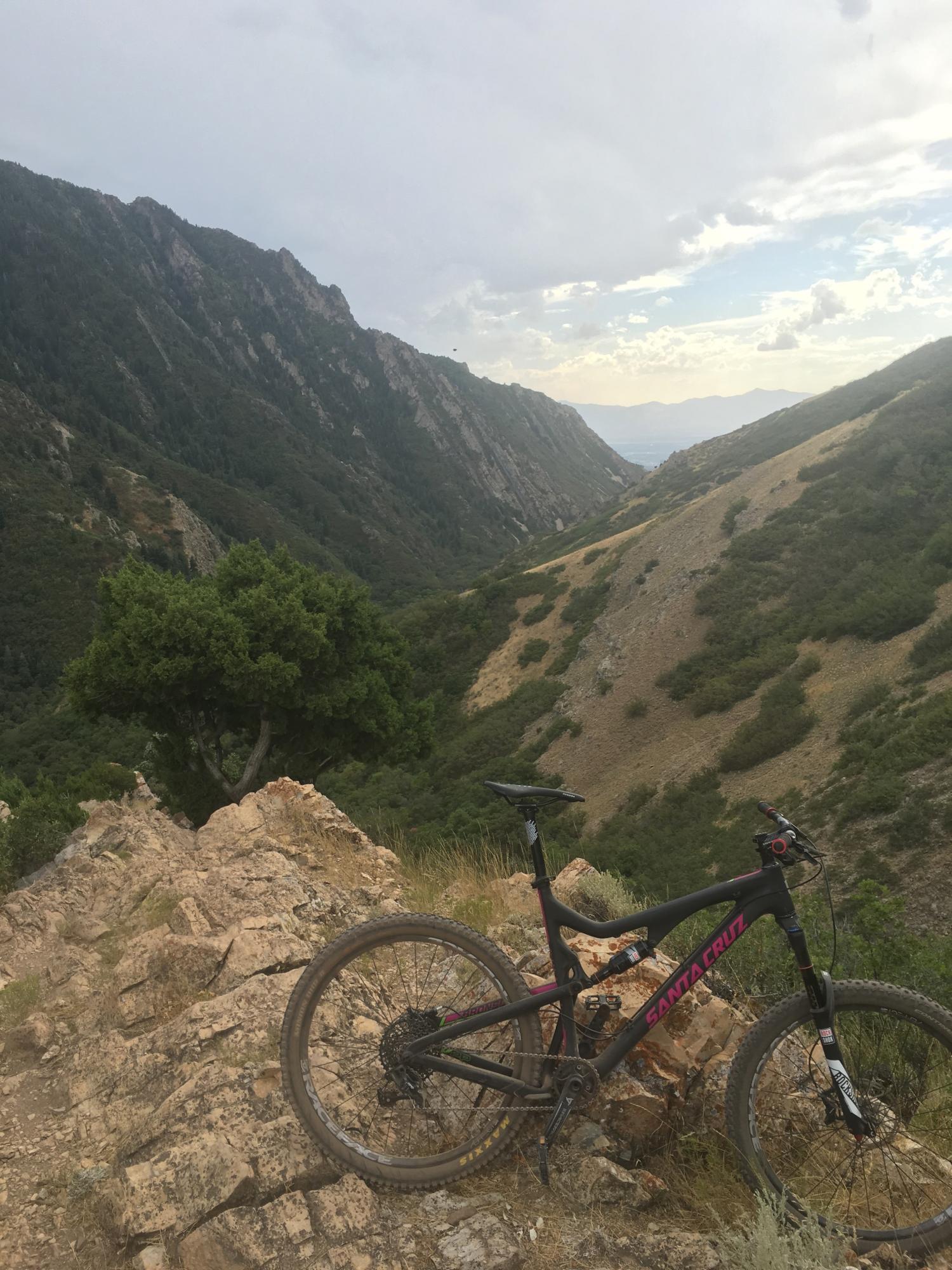 2015 Santa Cruz Bronson C Black and Pink