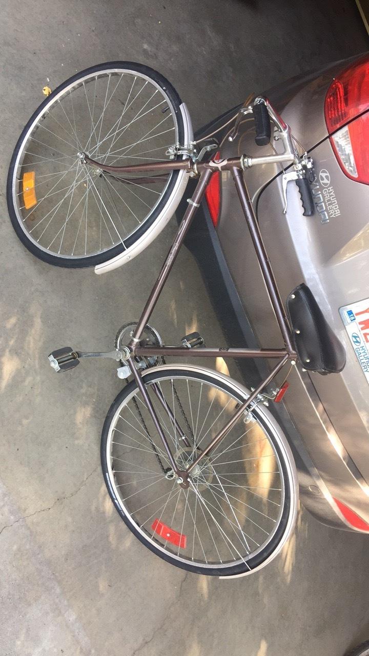 Sears Free Spirit Brown