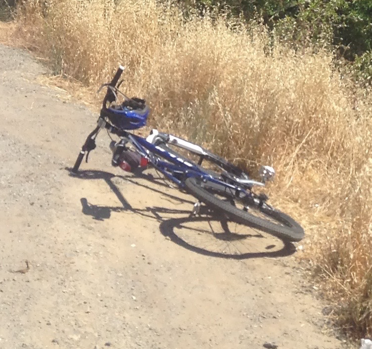 Fuji Nevada 2.0 Blue and White