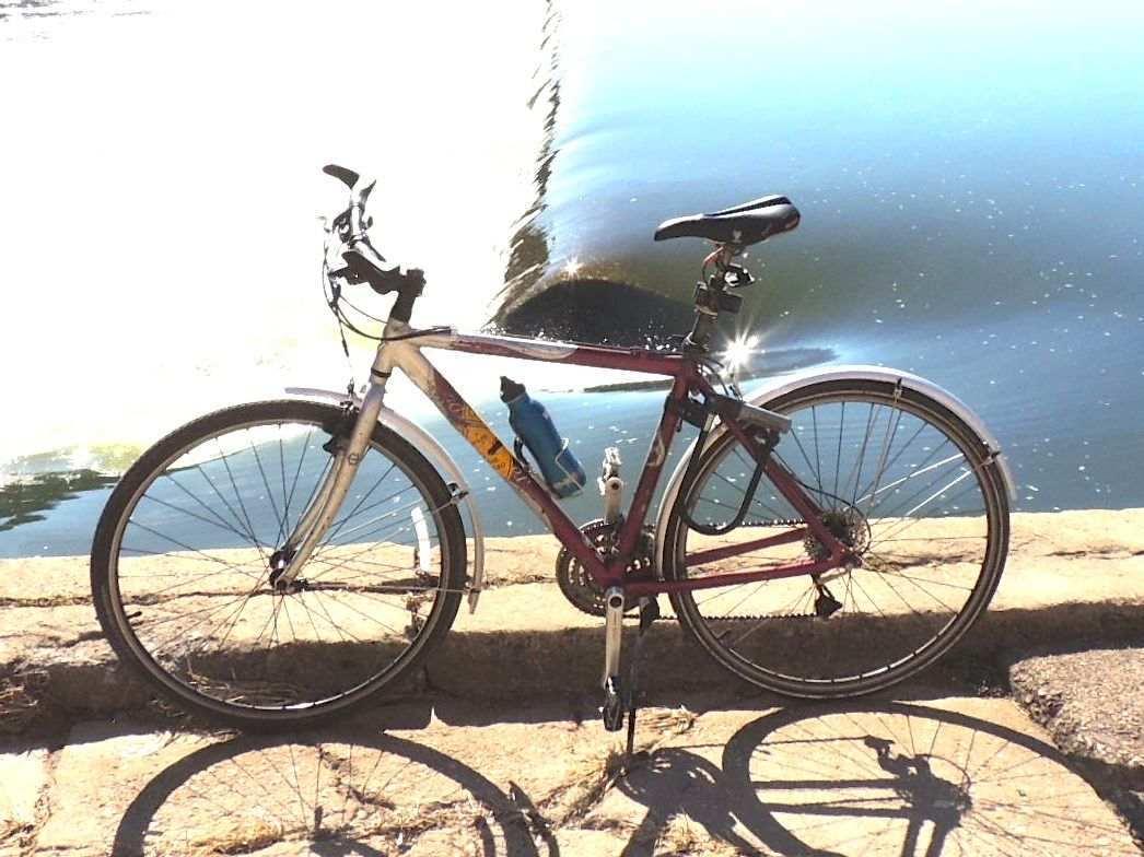 2005 Gary Fisher Nirvana Silver or Gray