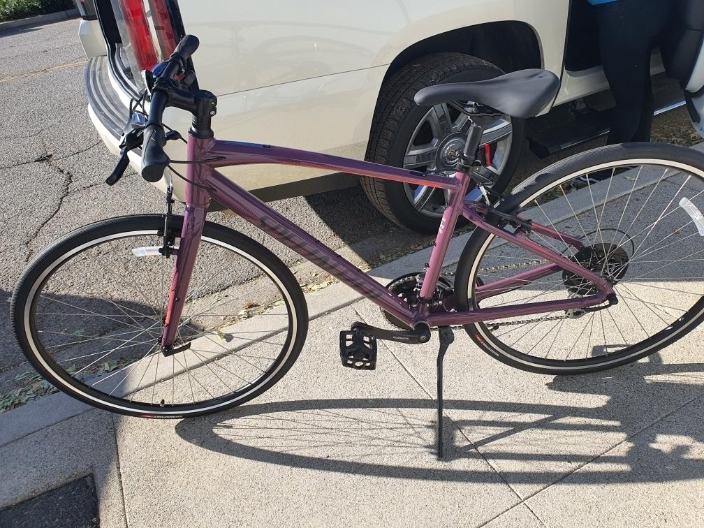 Specialized Purple