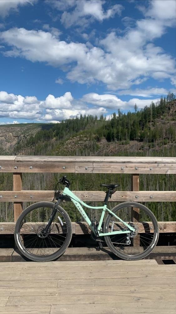 2018 Trek Trek Skye SL Teal