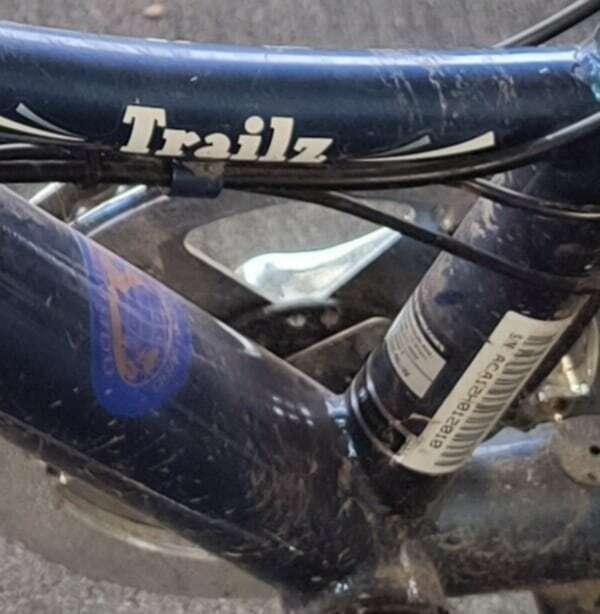 2010 eZip eZip Trailz Blue and Stickers tape or other cover-up
