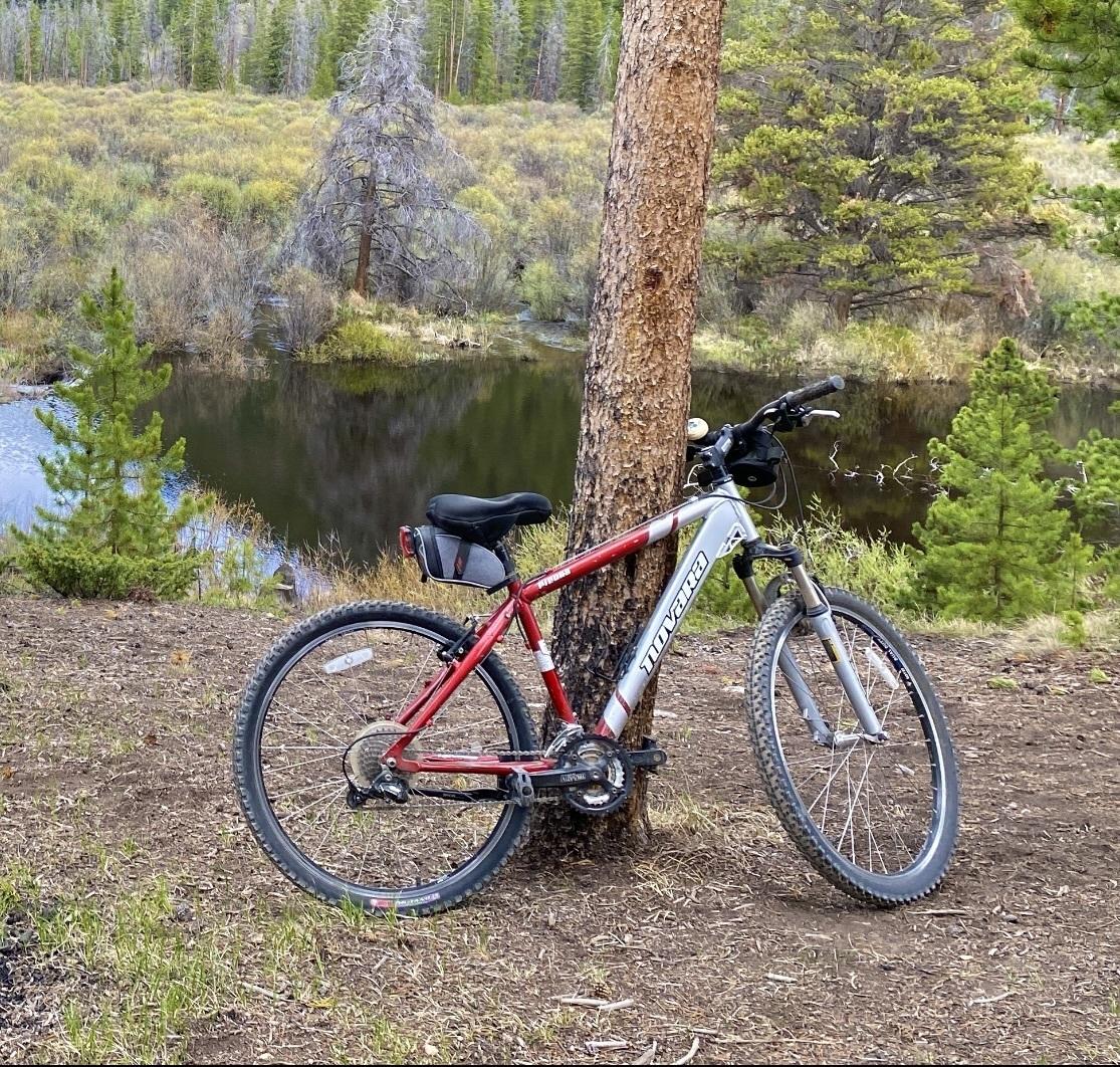 2005 Novara Piedra Red and Silver, gray or bare metal