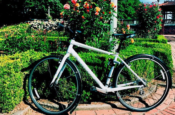 2015 Specialized Vita White