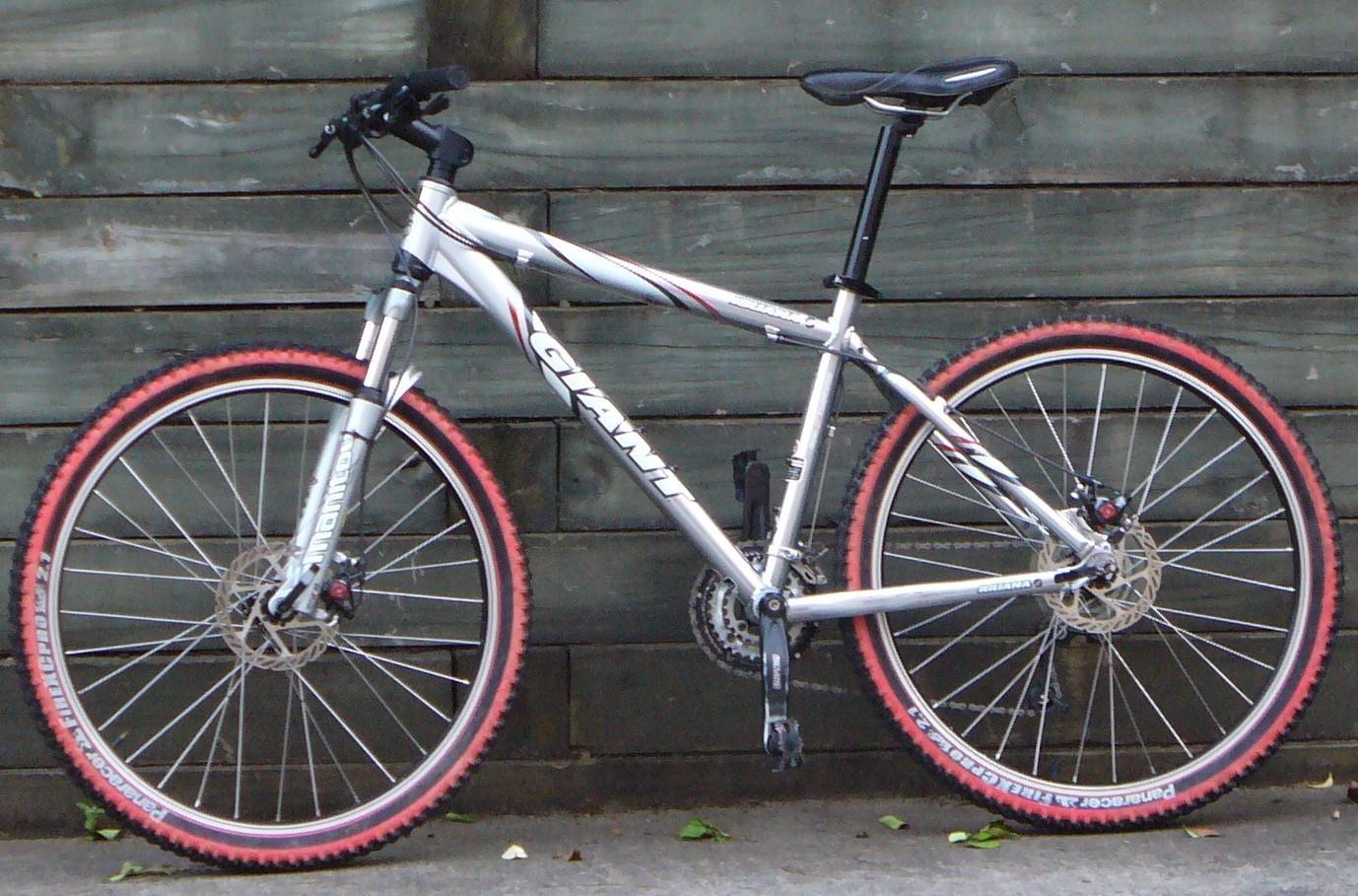 2003 Giant Iguana  Silver or Gray