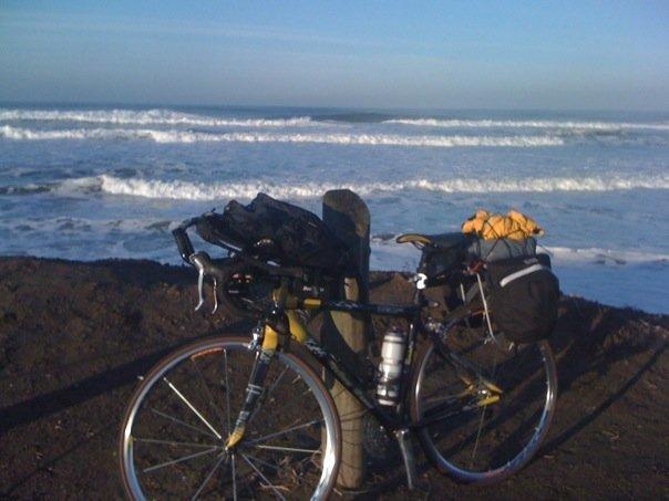 2006 Giant TCR C1 Yellow or Gold and Black