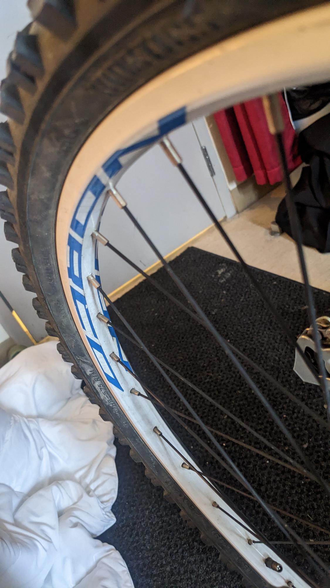 2019 Norco Bikes Katmandu Blue and White