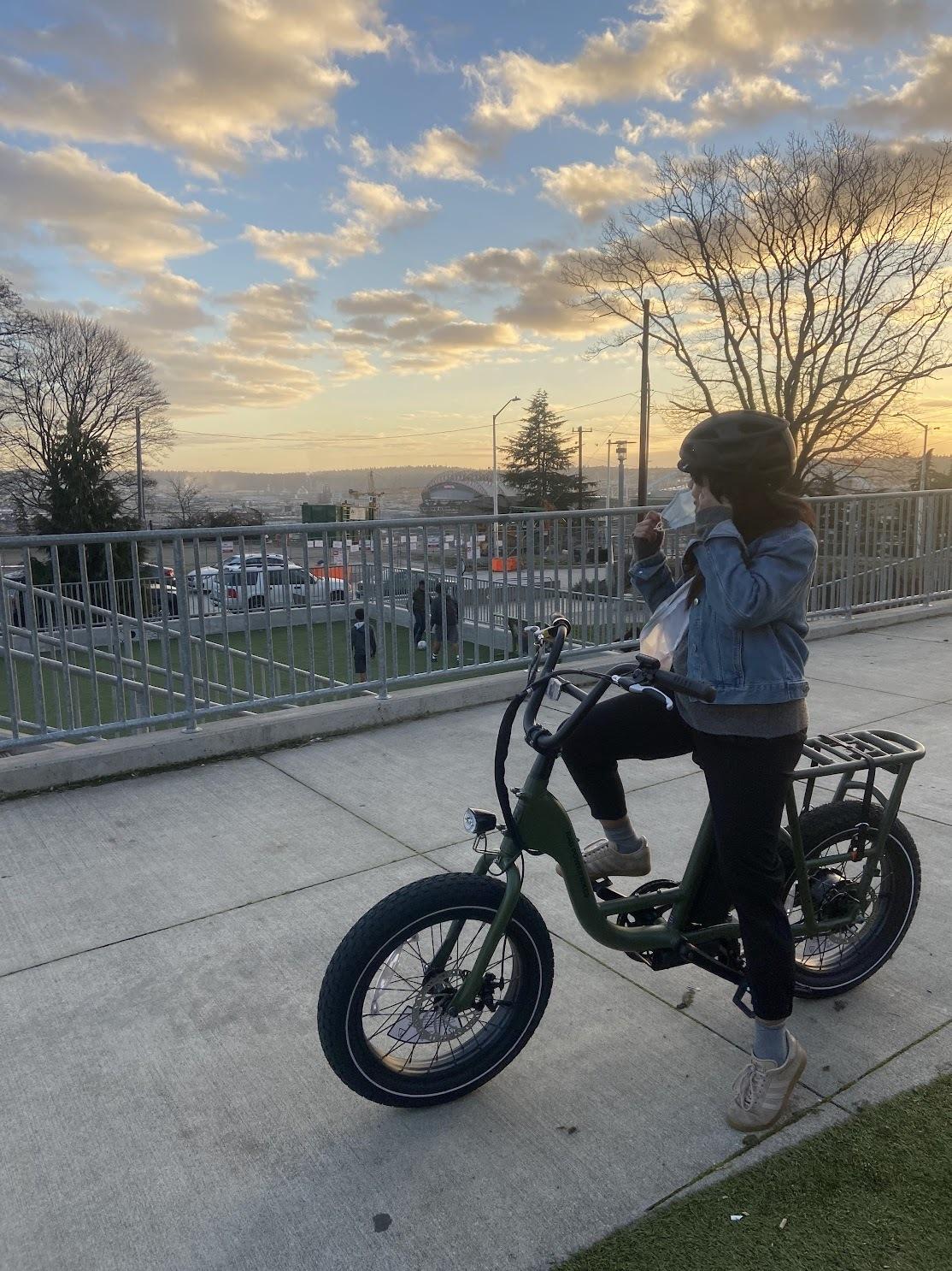 2022 Rad Power Bikes Rad Runner 2 Green