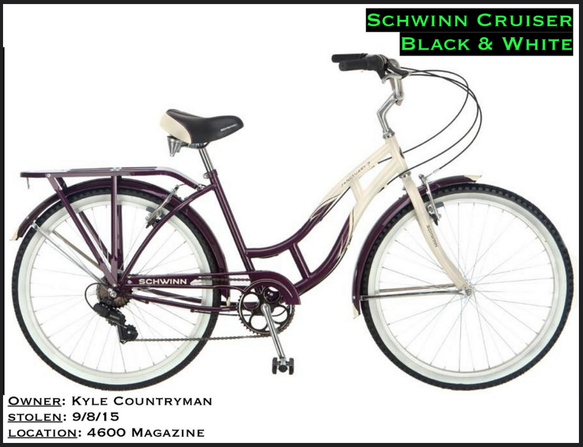 Schwinn Cruiser Black and White