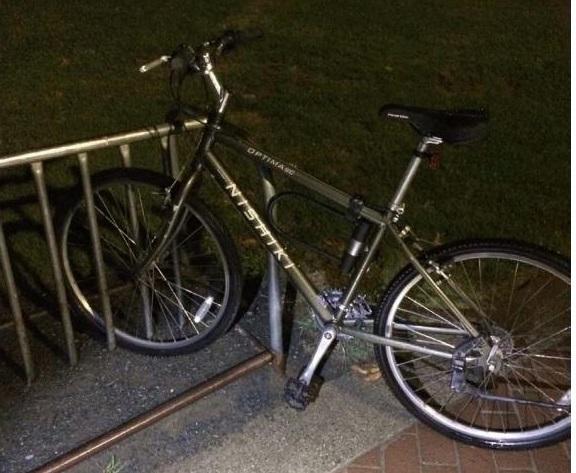 Nishiki Optima? Black and Silver or Gray