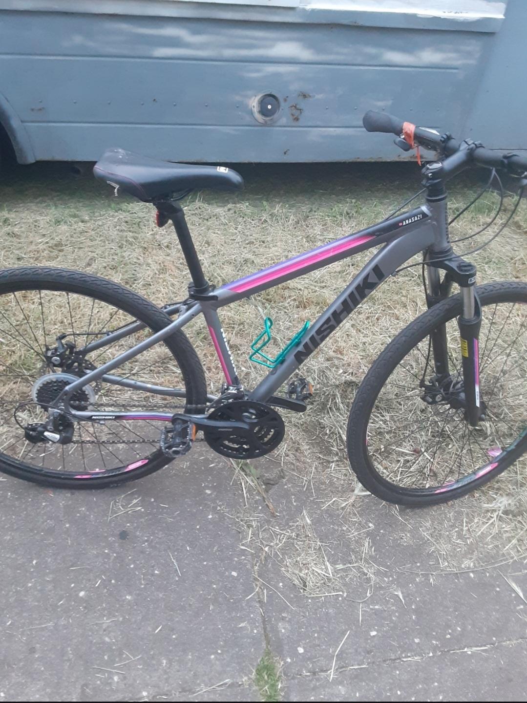 Nishiki Mountain Silver, gray or bare metal