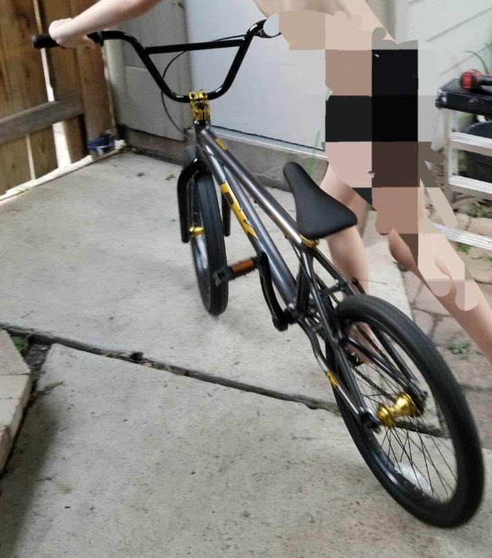 2017 DK Bikes Sprinter 20 inch Silver, gray or bare metal and Black