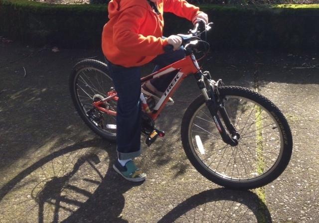 2013 Trek M Track 220  Black
