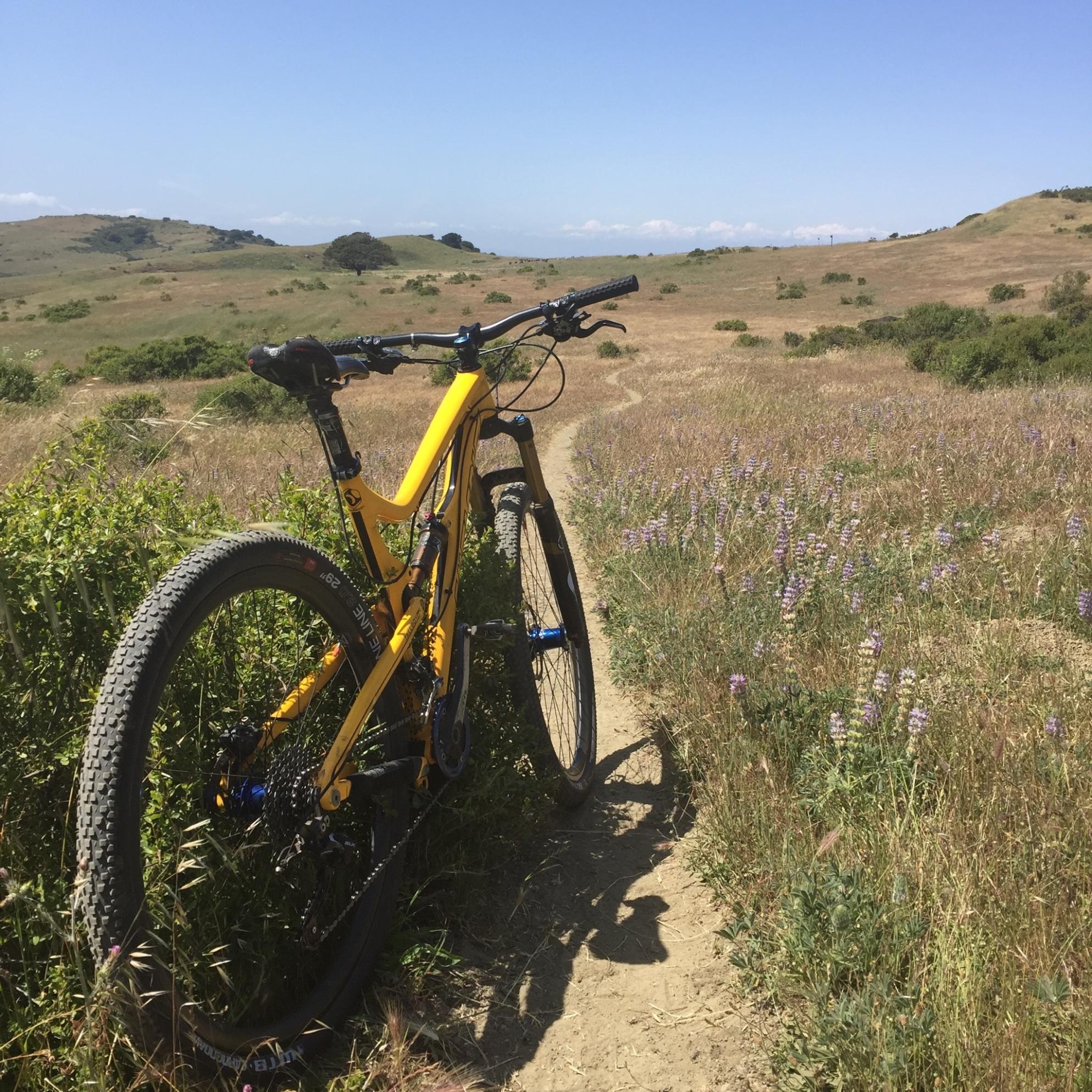 2014 Santa Cruz TALLBOY LTC Yellow or Gold