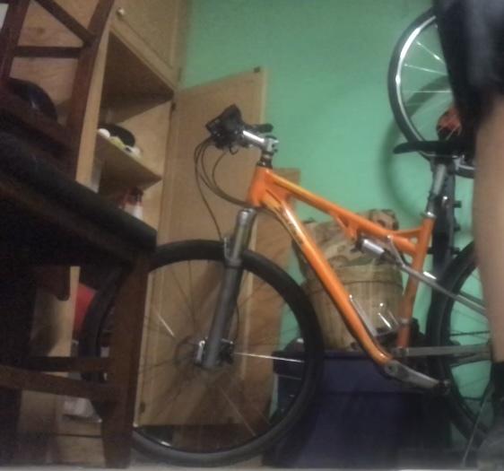 Salsa Spear - 18B Orange