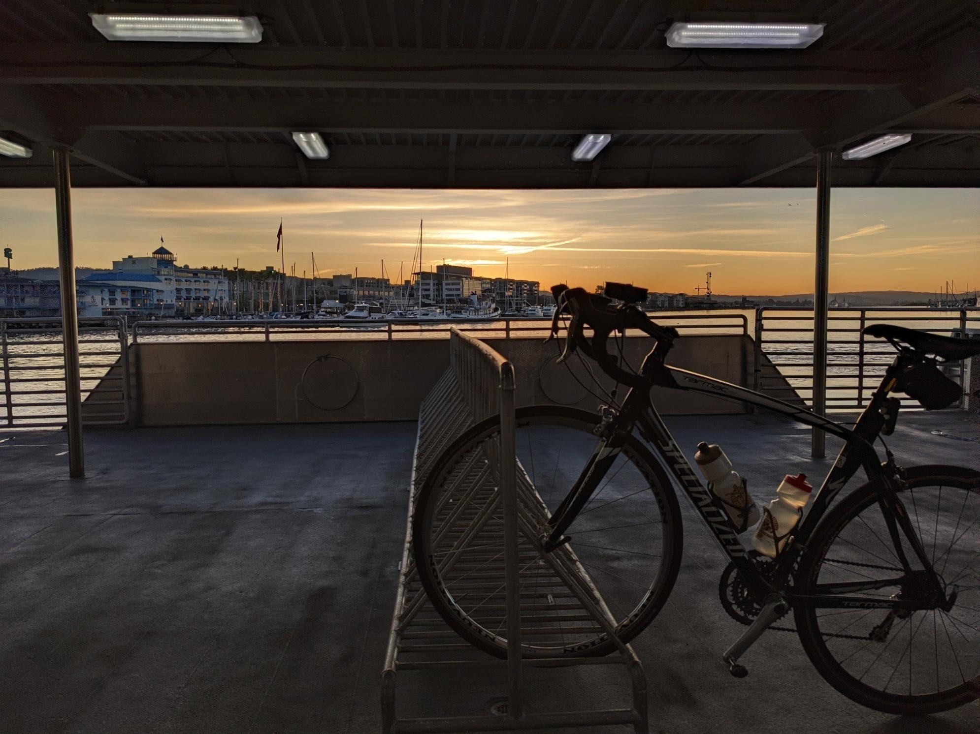 2006 Specialized Tarmac Comp Blue