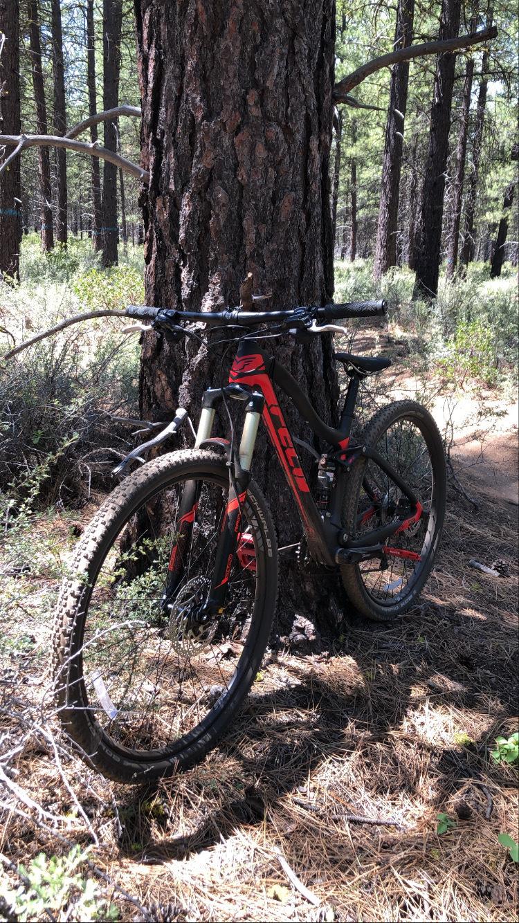 2017 Felt Edict5 Black