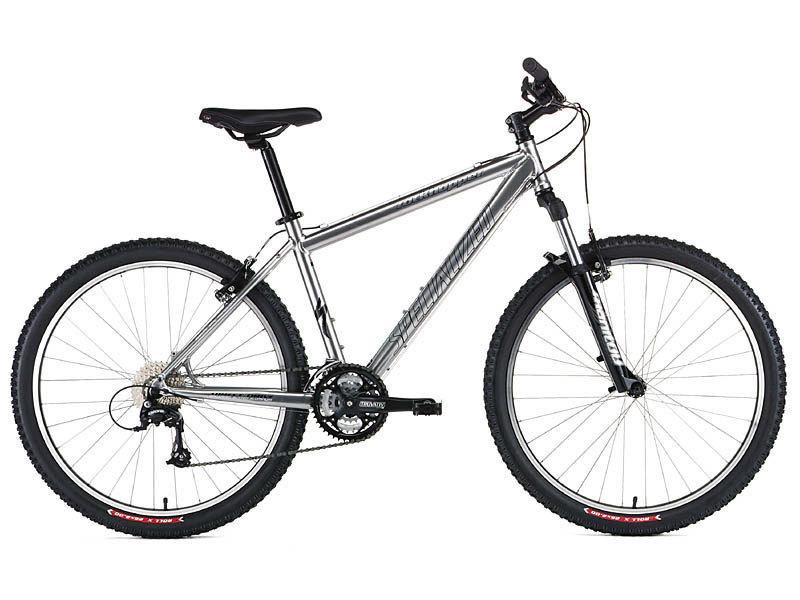 2004 Specialized Rockhopper Silver or Gray