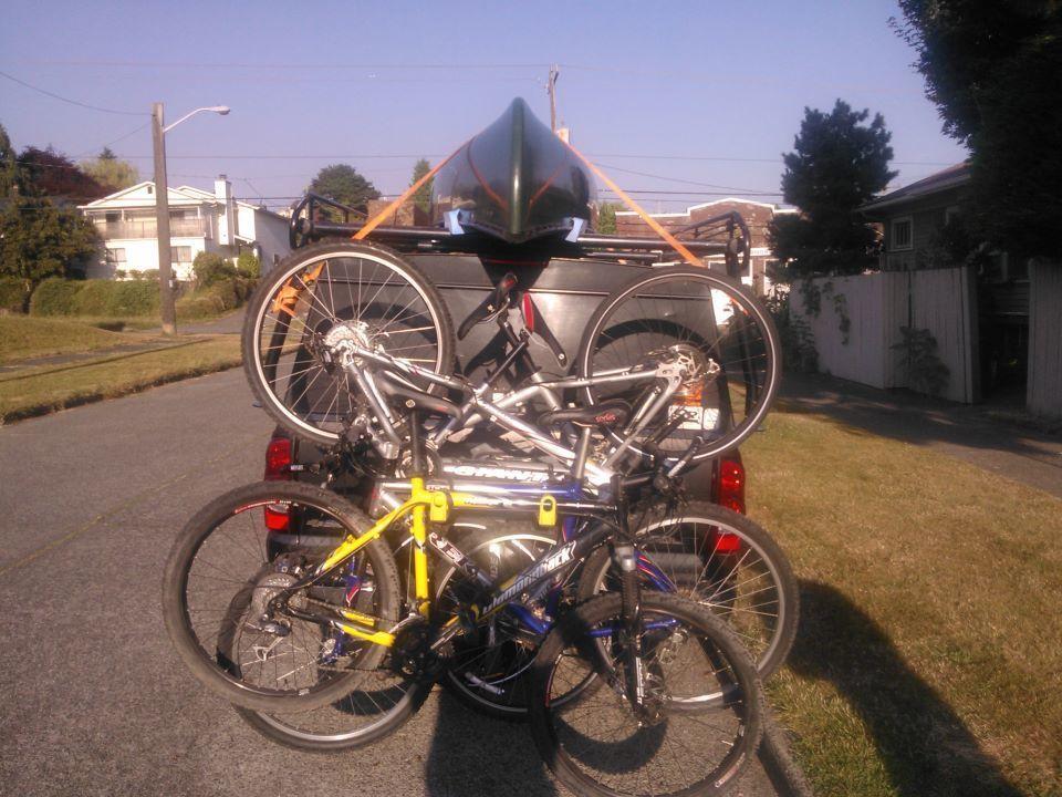 Diamondback topanga Yellow or Gold