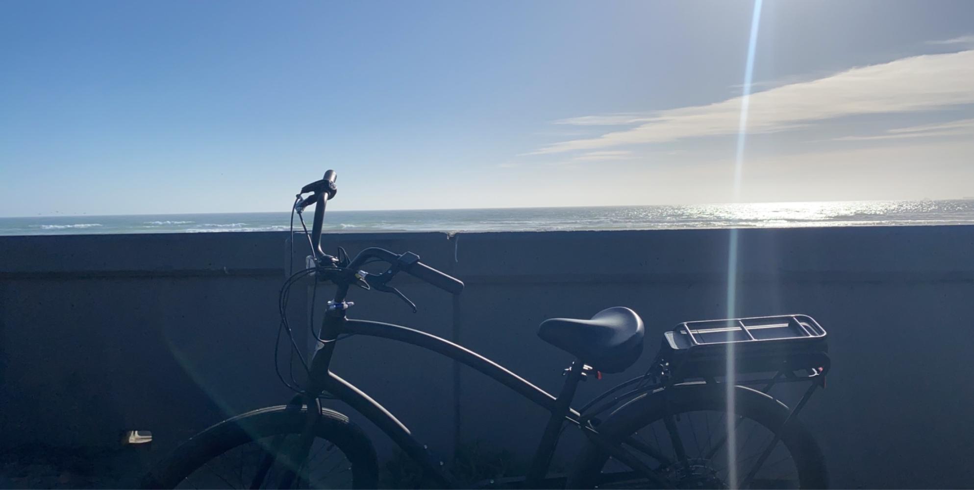 2020 Electra Townie go! Black