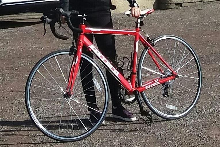 2015 Carrera bicycles Zelos Red